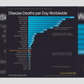 006012_af9dd062852ed499_invalid comparison.jpg
